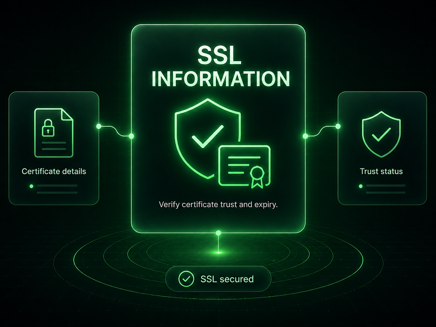 SSL Information hero visual in neon security interface style